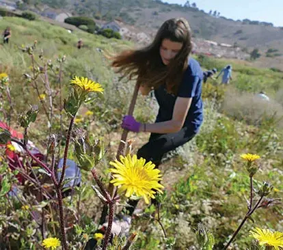 Outdoor Volunteer Day at Alta Vicente Reserve (Upper)